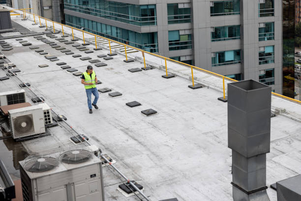 Best Storm Damage Roof Repair  in Palos Heights, IL