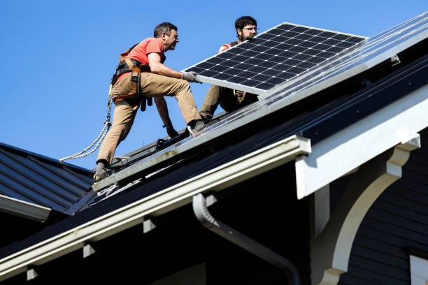 Best Roof Moss and Algae Removal  in Palos Heights, IL